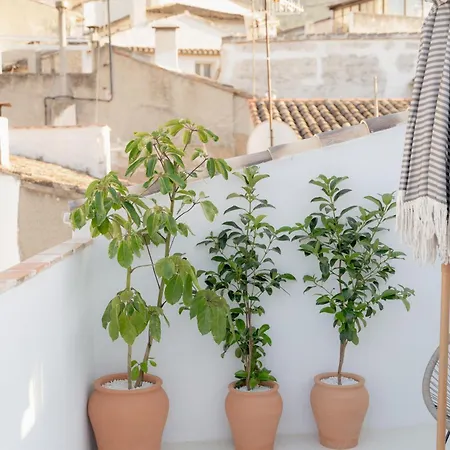 Casa Oliveta - Boutique Benimantell